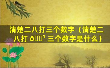 清楚二八打三个数字（清楚二八打 🌹 三个数字是什么）